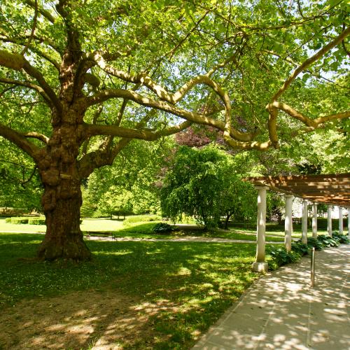Zdraviliški park Dobrna
