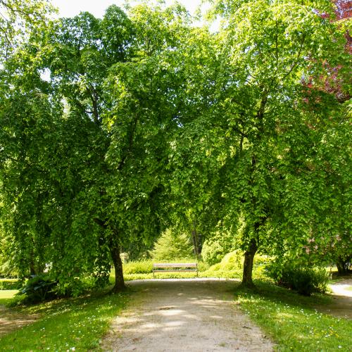 Zdraviliški park Dobrna