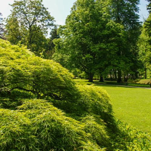 Zdraviliški park Dobrna