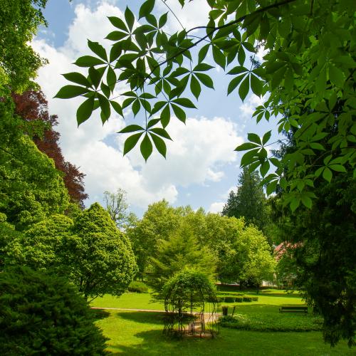 Zdraviliški park Dobrna